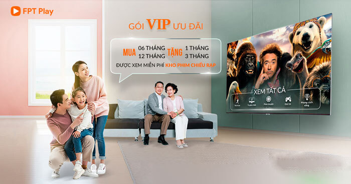 Gói Vip FPT