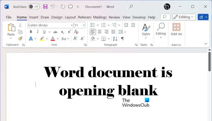 Tài liệu Word mở trống trên Windows 11/10